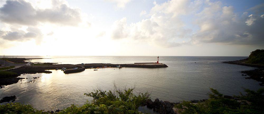 Stanford Hotel And Resort Jeju Buitenkant foto